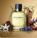 Dolce & Gabanna Pour Homme Men